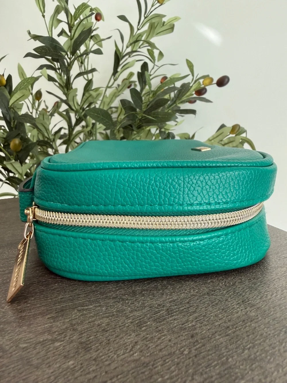 Bobbi Brown Green Makeup Cosmetic Travel Case Organizer Bag